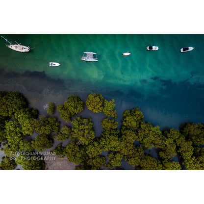 Myola Mangroves (Landscape)