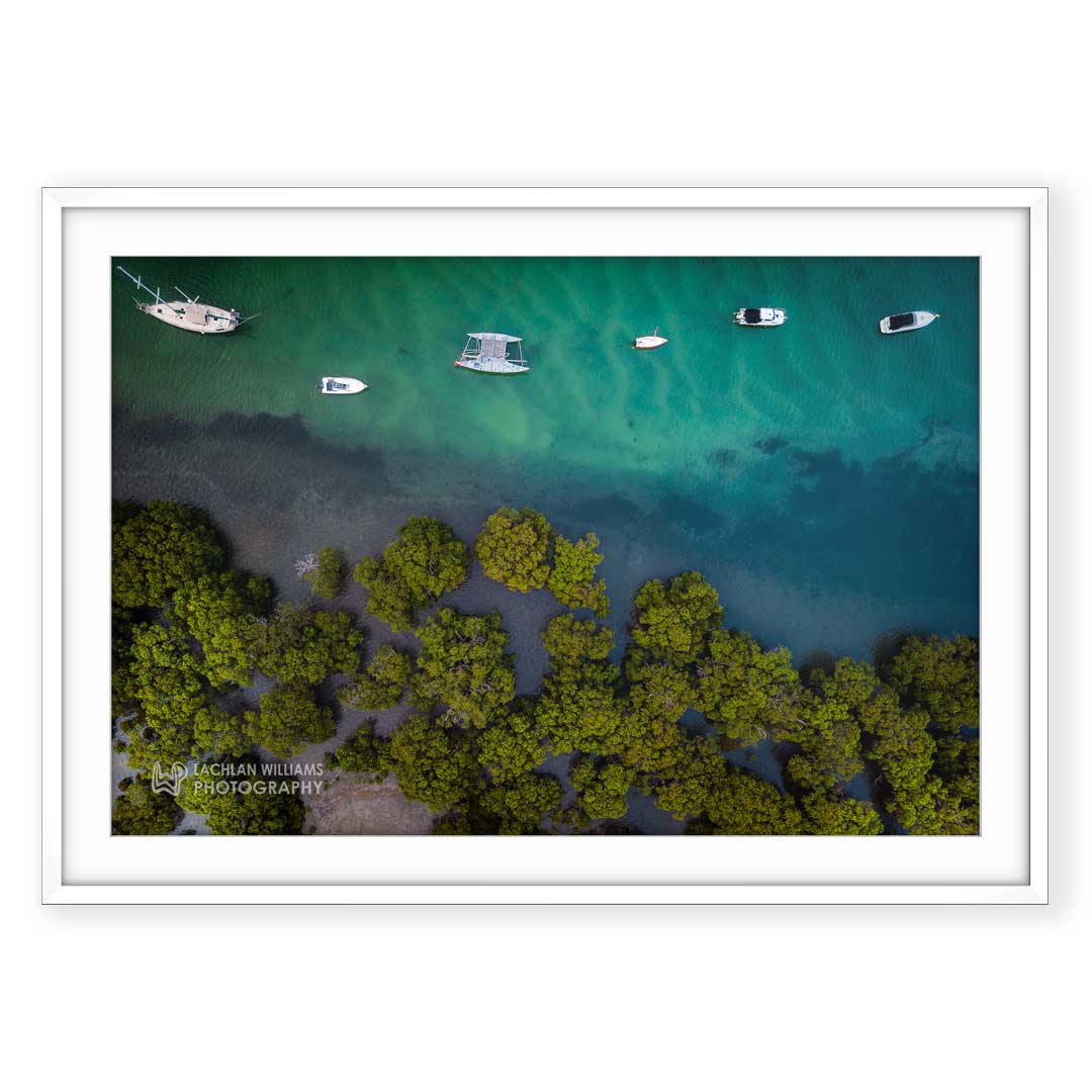 Myola Mangroves (Landscape)